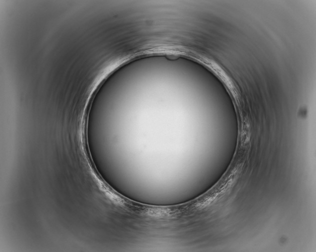 X0000100960909200807011329