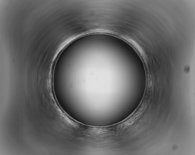 X0000100960910200807011329