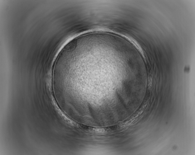 X0000100960911200807011329