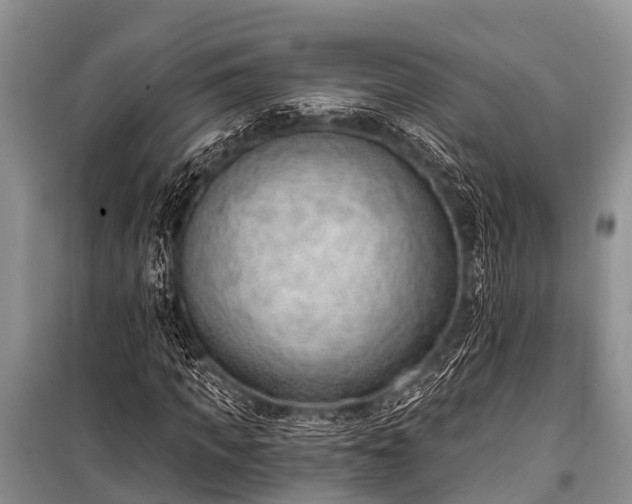X0000100960917200807011328