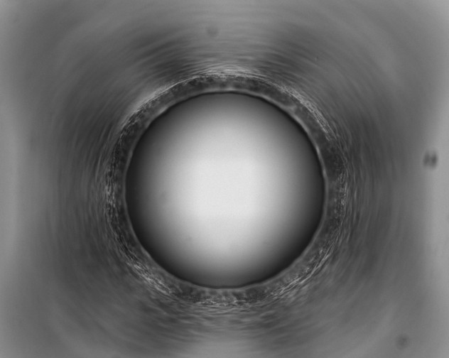 X0000100960919200807011329