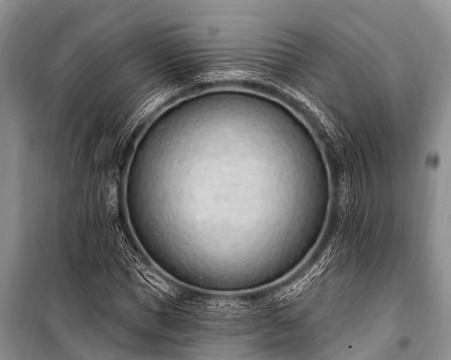 X0000100960921200807011329