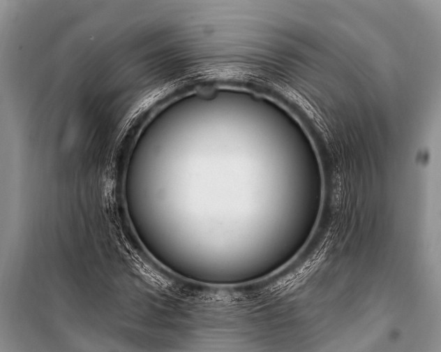 X0000100960922200807011329