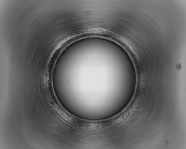 X0000100960923200807011329