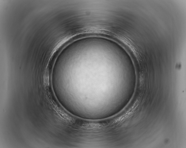 X0000100960925200807011329