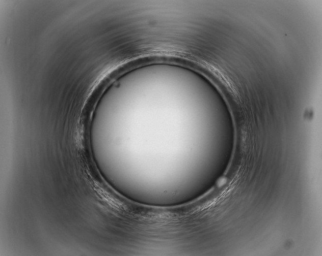 X0000100960926200807011329