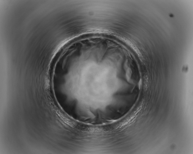 X0000100960927200807011329
