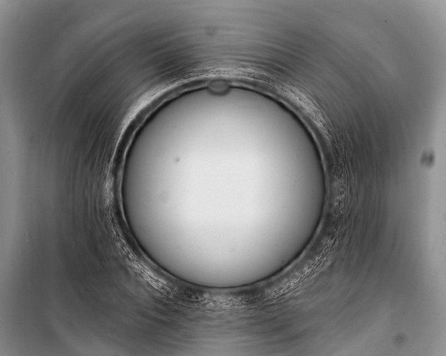 X0000100960928200807011329