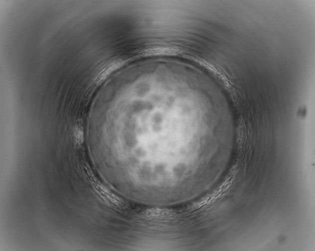 X0000100960929200807011329