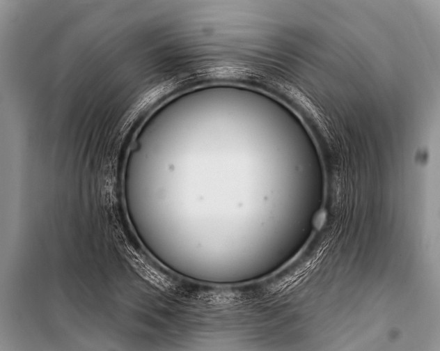 X0000100960930200807011329