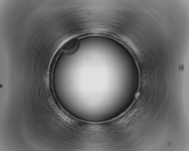 X0000100960932200807011329