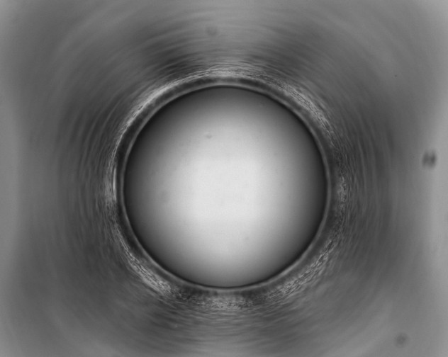 X0000100960934200807011329