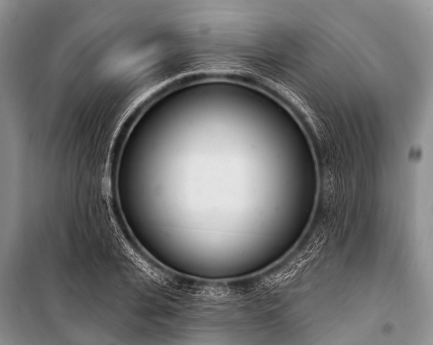 X0000100960935200807011329