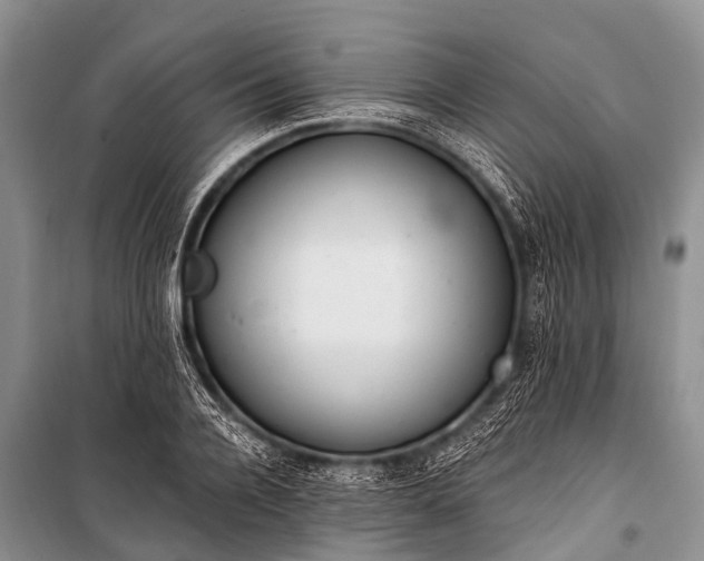 X0000100960936200807011329