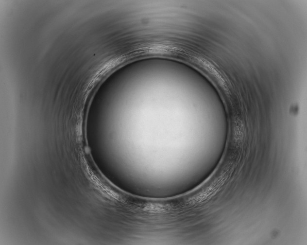 X0000100960938200807011329