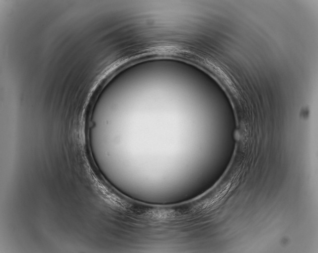 X0000100960939200807011329