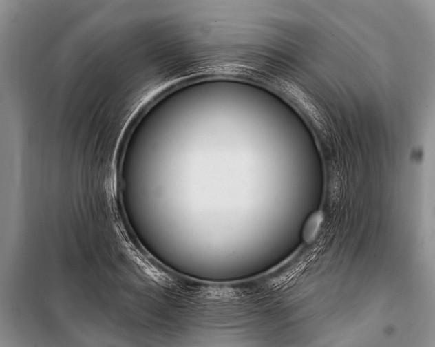 X0000100960940200807011329