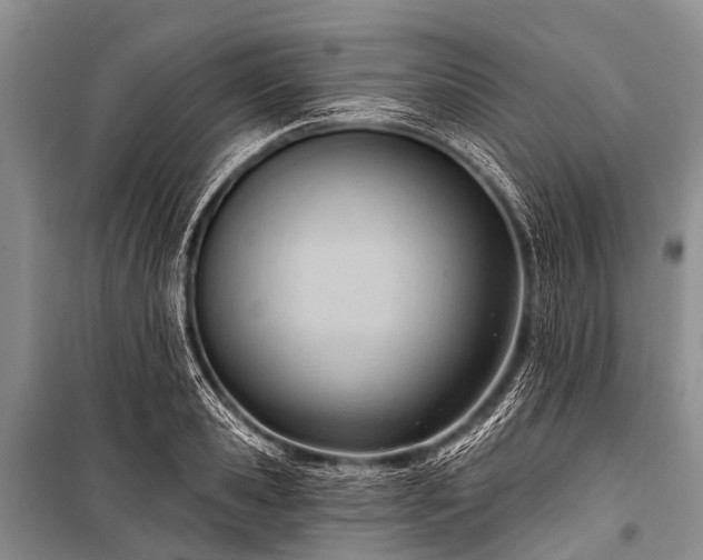 X0000100960941200807011329