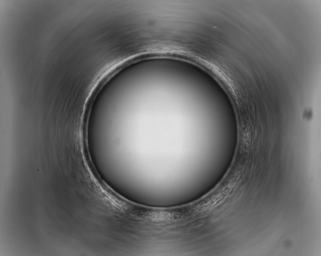 X0000100960943200807011329