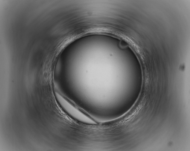 X0000100960945200807011329