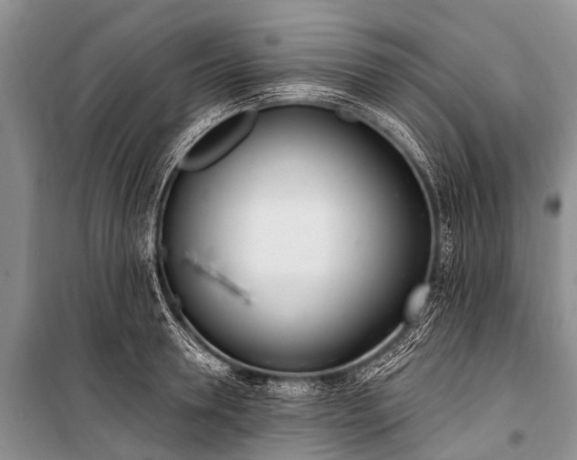 X0000100960946200807011329