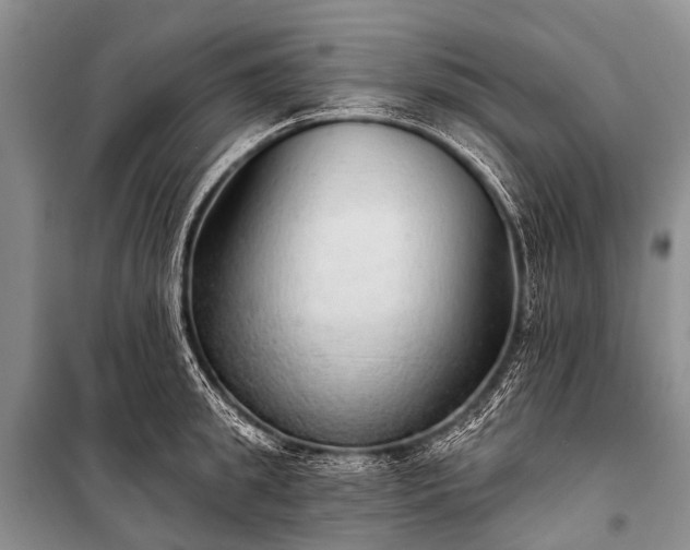 X0000100960949200807011329