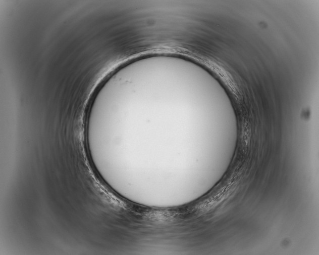 X0000100960950200807011329