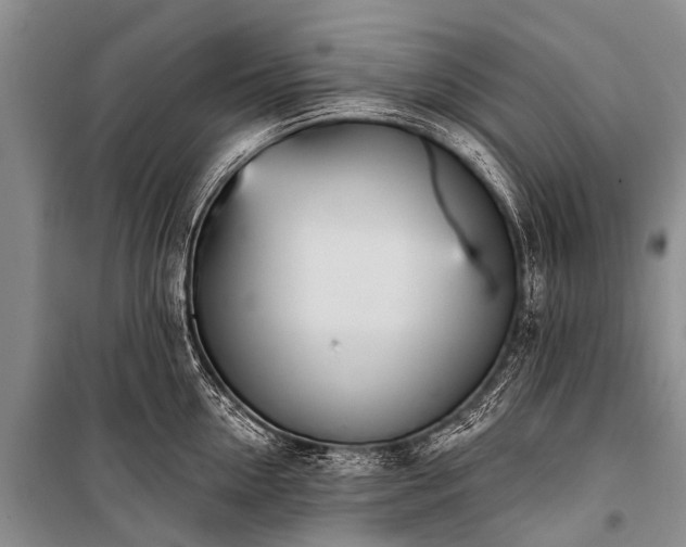 X0000100960954200807011329