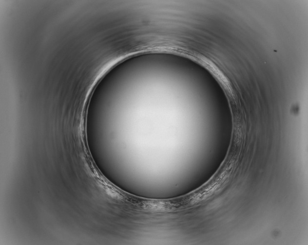 X0000100960956200807011329