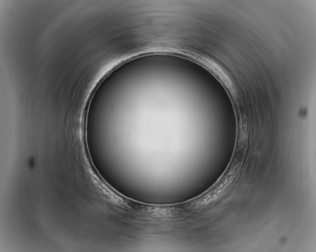 X0000100960958200807011329