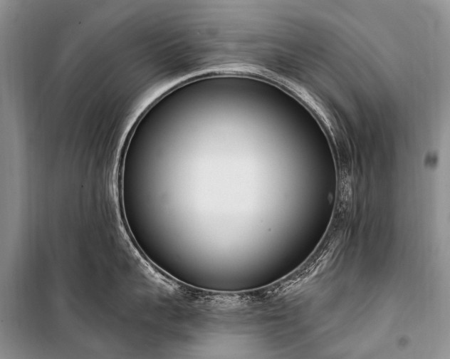 X0000100960959200807011329