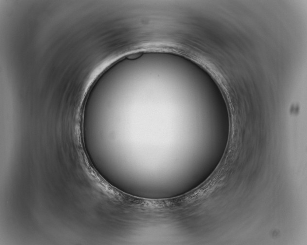 X0000100960960200807011329