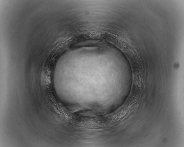 X0000100960962200807011328