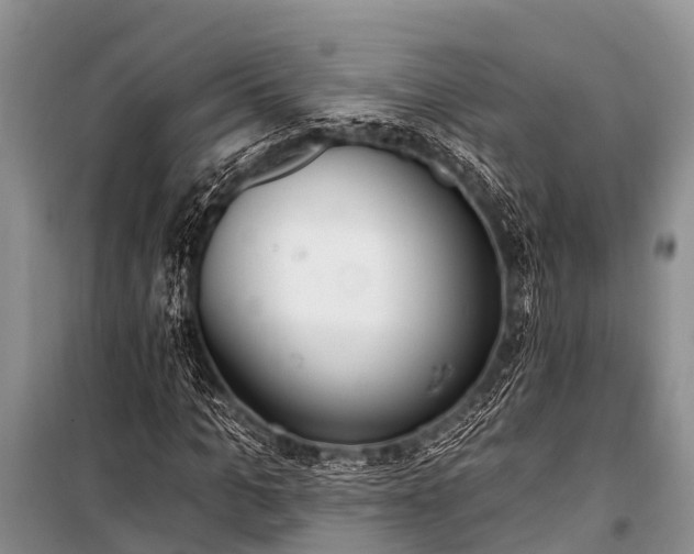 X0000100960965200807011328