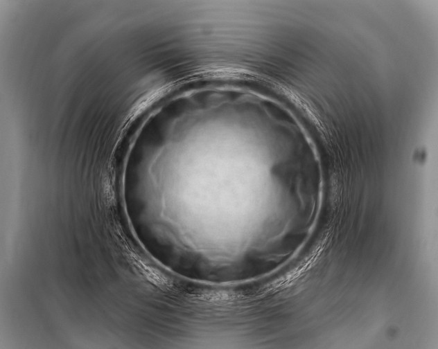 X0000100960970200807011328