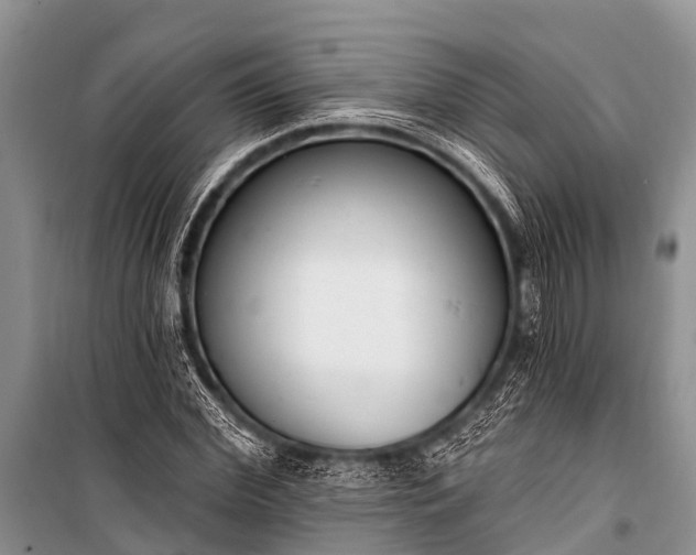 X0000100960972200807011328