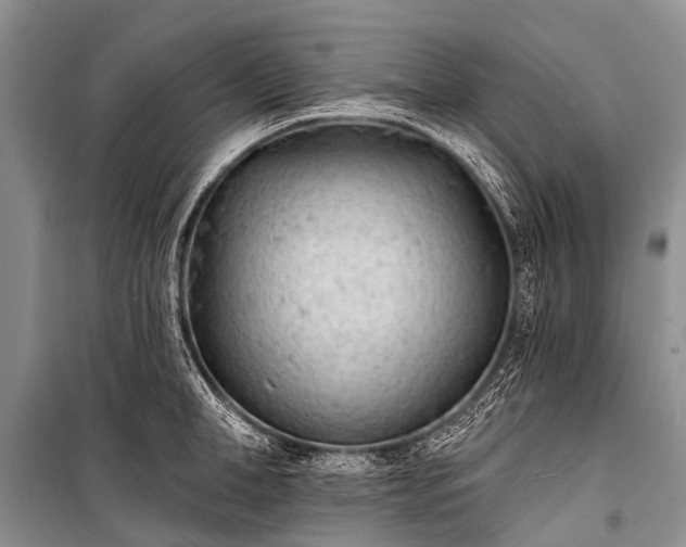 X0000100960998200807011328