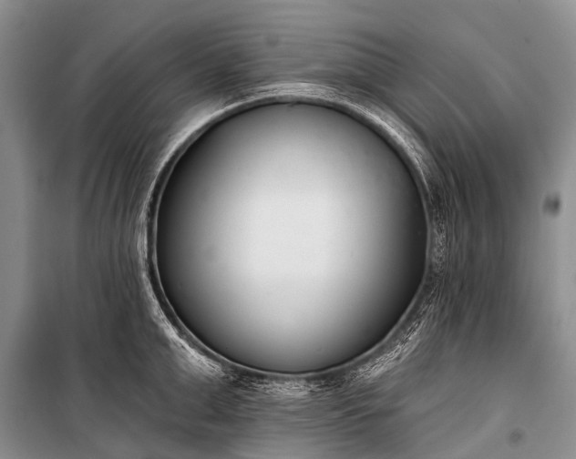 X0000100960999200807011328