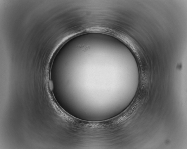 X0000100961000200807011328