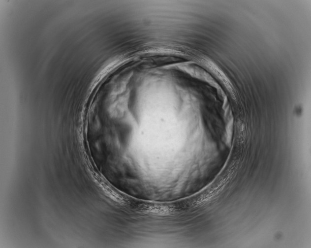 X0000100961002200807011328