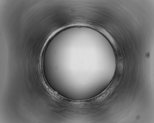X0000100961004200807011328