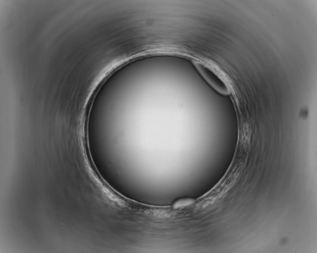 X0000100961005200807011328