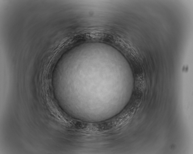 X0000100961009200807011327