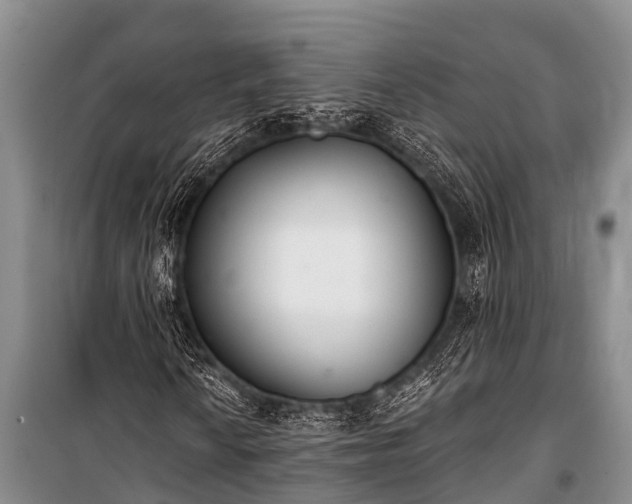 X0000100961010200807011327