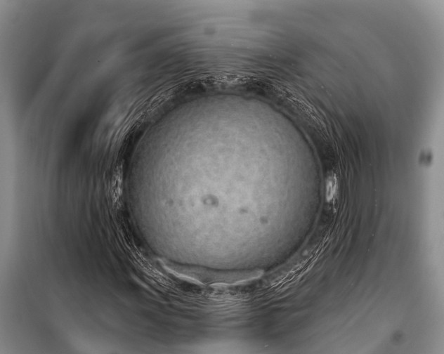 X0000100961011200807011327