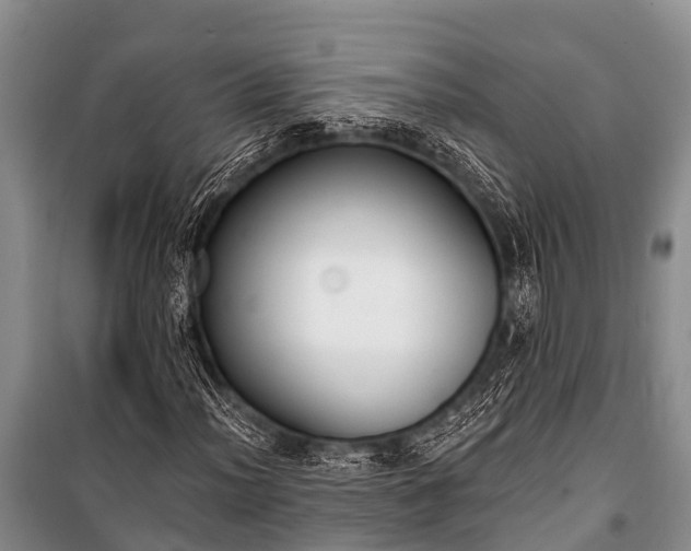 X0000100961012200807011327