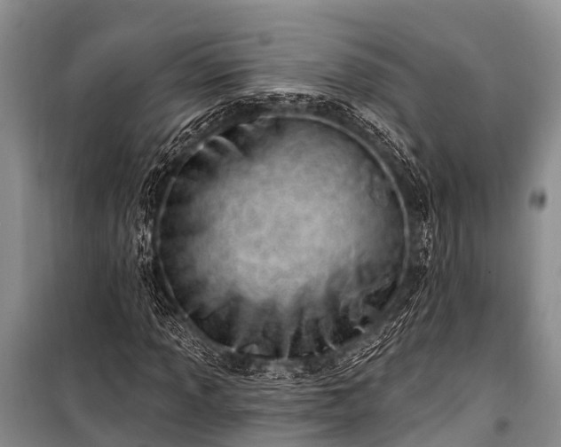X0000100961013200807011327
