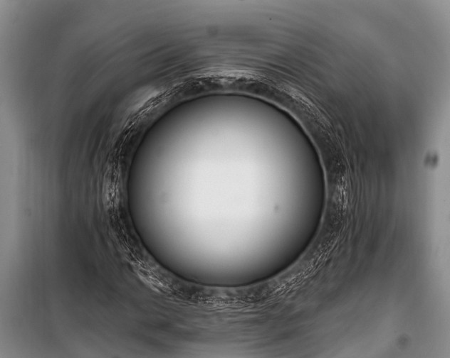 X0000100961014200807011327