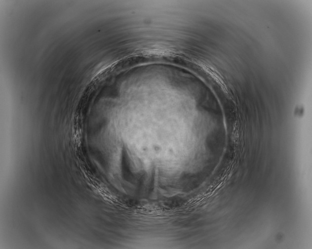 X0000100961015200807011327