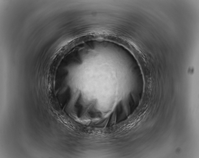 X0000100961016200807011327